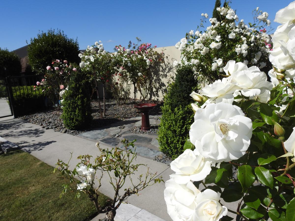 Grasslands Bed & Breakfast Cambridge Dış mekan fotoğraf