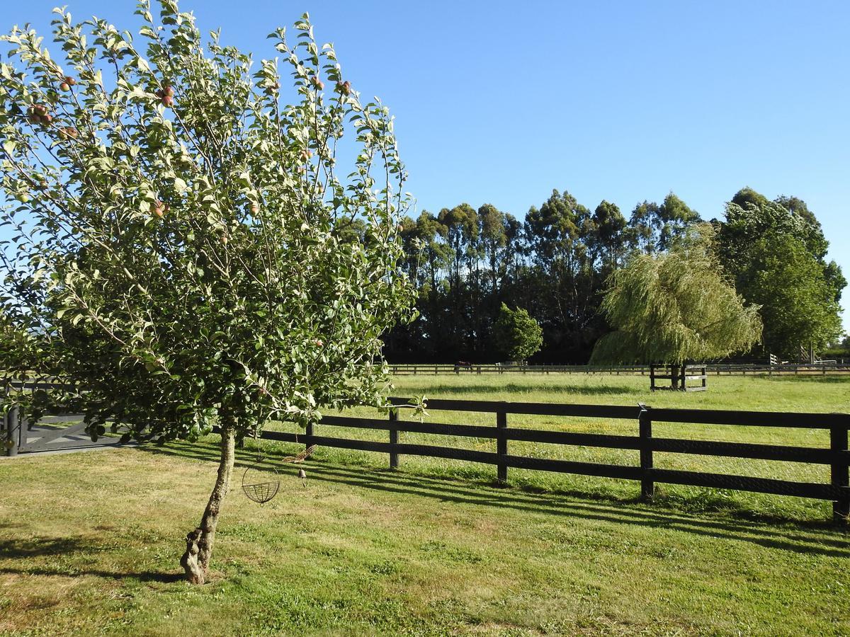 Grasslands Bed & Breakfast Cambridge Dış mekan fotoğraf